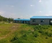 (出租) 牛舍出租，地理位置優(yōu)越，離居民區(qū)遠，有獨立的化糞池