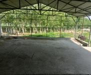 (出租) 牛舍出租,地理位置優(yōu)越,離居民區(qū)遠(yuǎn),有獨(dú)立的化糞池