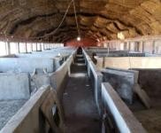 (出租) 梨樹大型養(yǎng)殖場出租 出售