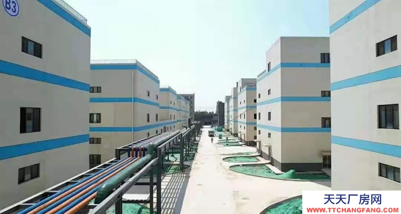 萊蕪省級化工園區高標準廠房