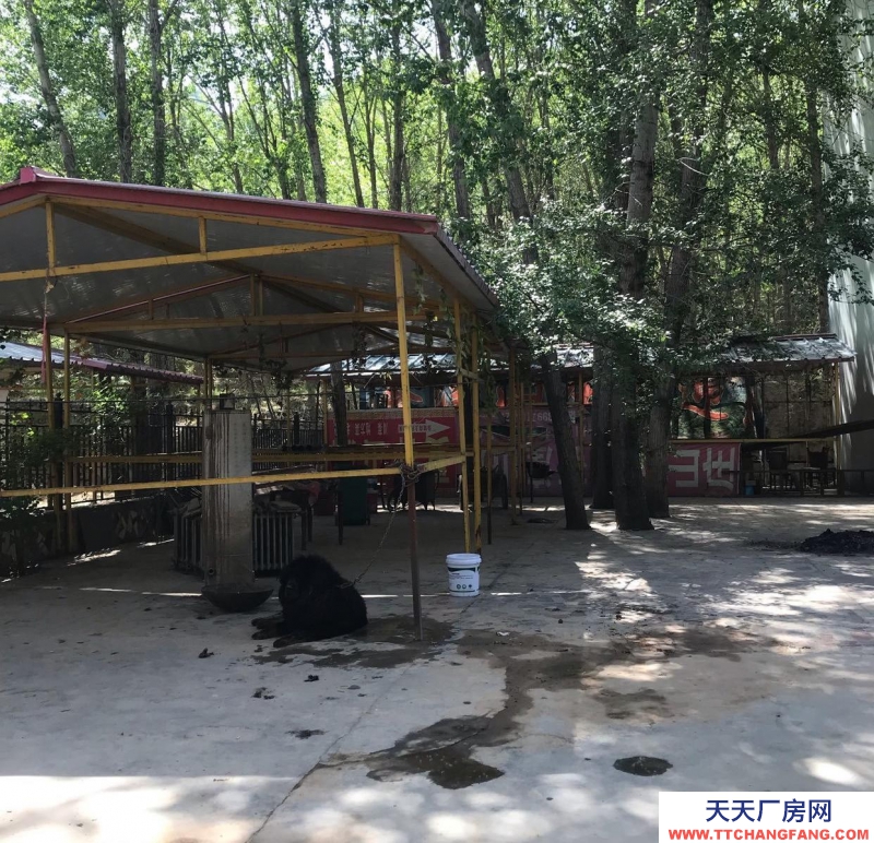 西寧獨(dú)立小院 占地兩畝 交通便利 院外有單獨(dú)的停車(chē)場(chǎng)