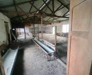 (出售) 遼源市養殖場急用錢出售