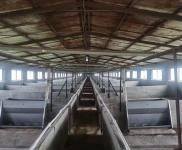 (出租) 東豐占地三萬平，有多間育豬廠房自動化設備，大片空地！