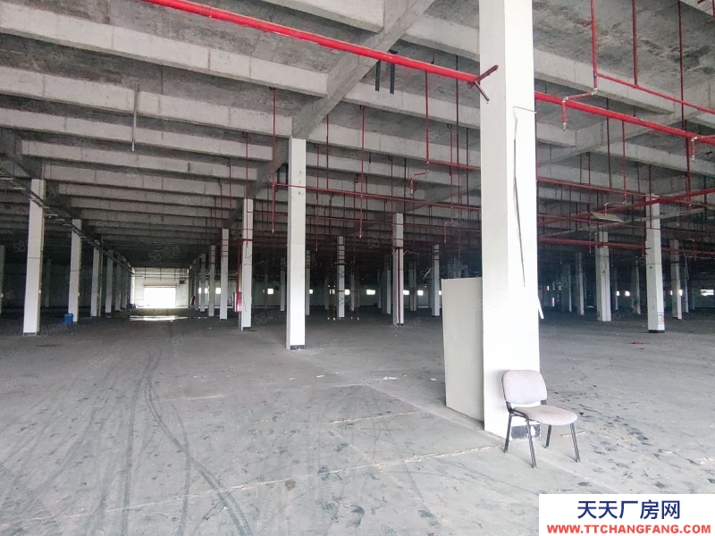 (出租) 江門蓬江珠西化工園內(nèi)，1萬(wàn)方化工園招租，配置消防設(shè)施和污水處理池