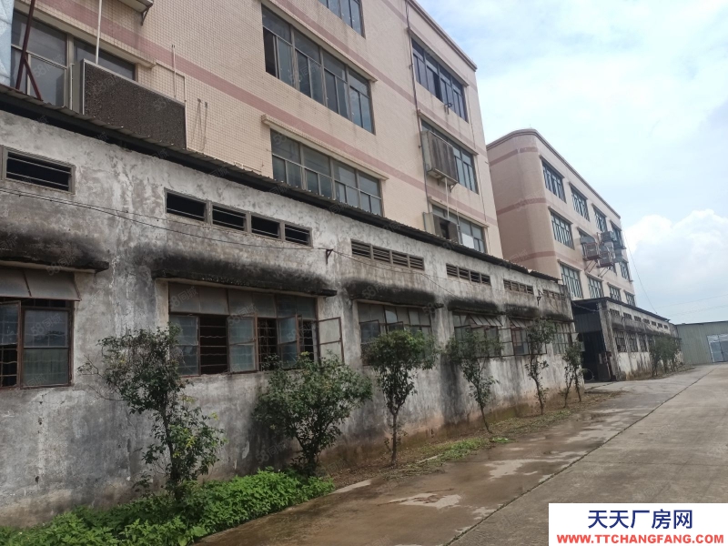 (出租) 江門蓬江獨棟廠房出租6280方