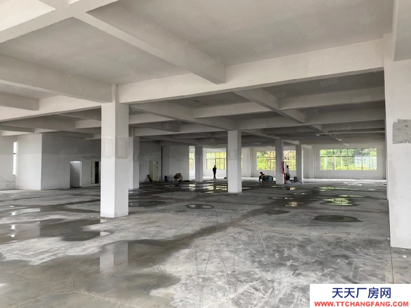 (出租) 江門可辦環(huán)評荷塘西江大橋，獨門獨院，全新4800平方標準廠