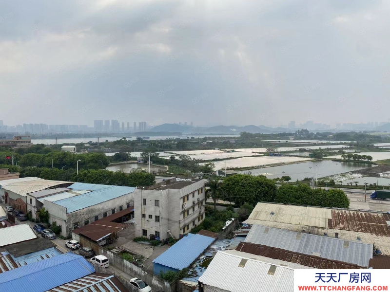 (出租) 江門可辦環評荷塘西江大橋，獨門獨院，全新4800平方標準廠