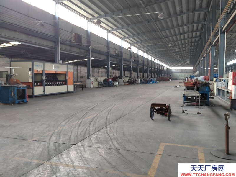 (出租) 江門新會標準 單一層 行業不限實惠出租！