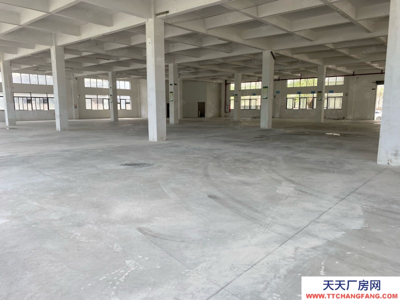 (出租) 江門新會睦州35000方廠房出租 可分租