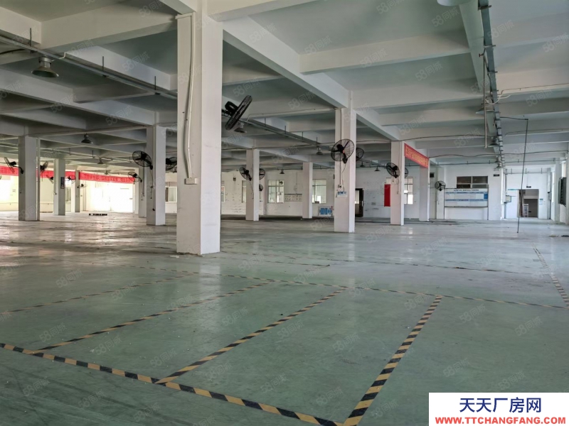 (出租) 江門市新會區睦洲鎮新沙工業區獨院16250平方標準廠房出租