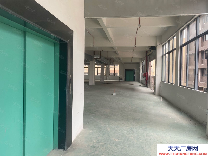 (出租) 江門睦州新沙獨門獨院11240方 紅本廠房出租