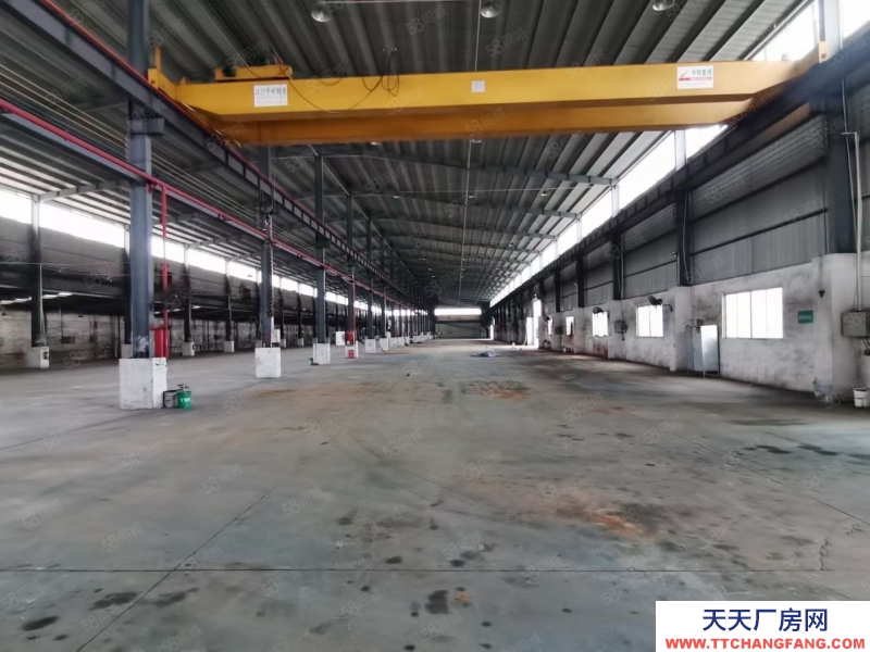 (出租) 江門新會12米高獨院鋼構廠房帶十噸航軌廠房可分租