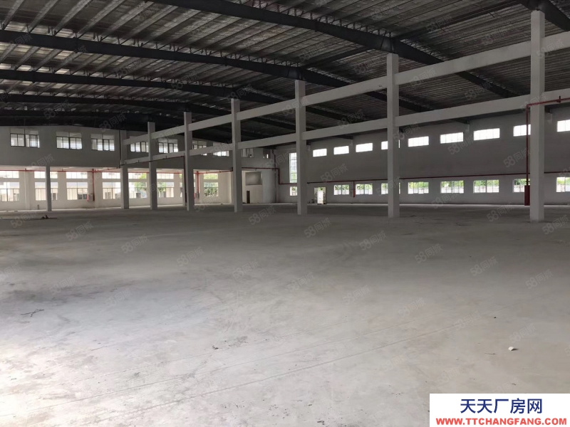 (出租) 江門江海區 全新單一層8000方 可分 租