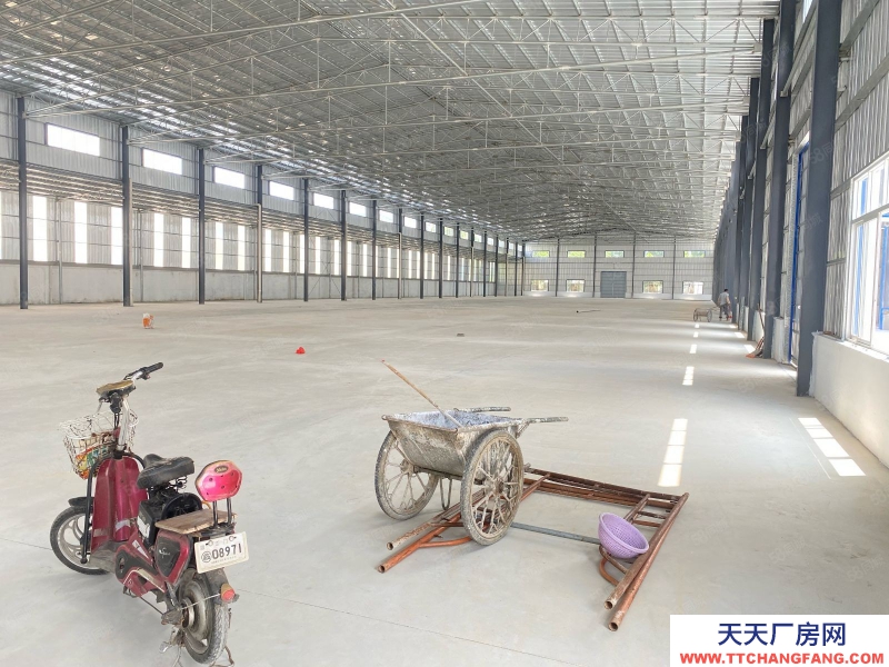 (出租) 江門原房東廠房6000方滴水9米便宜租