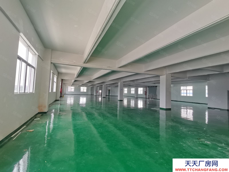 (出租) 江海高新區(qū)南山高速出口附近精裝，一二樓3200平方出租