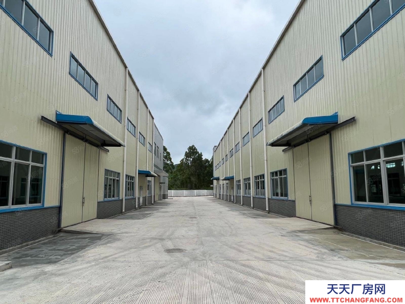 (出租) 江門臺山單一層帶牛角行車廠房4000平方招租