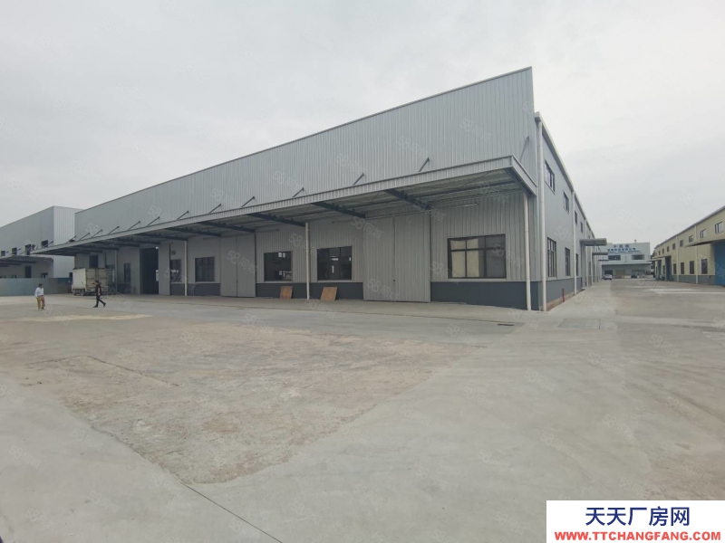 (出租) 原房東出租！江門臺山新建獨院鋼構廠房出租25000平可分租