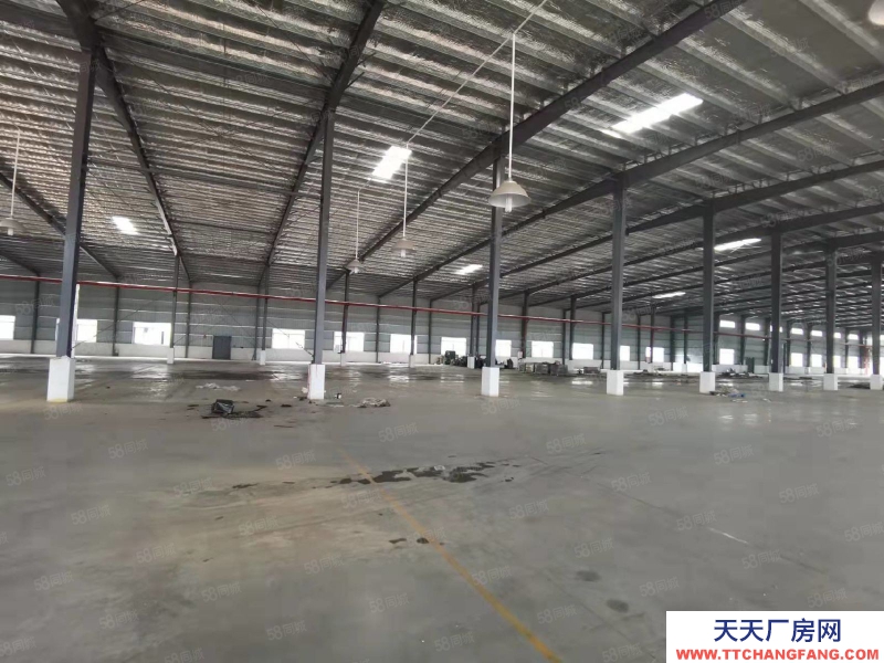 (出租) 原房東出租！江門臺山新建獨院鋼構廠房出租25000平可分租