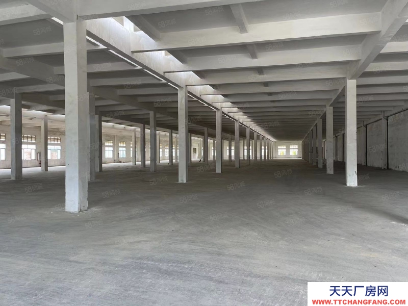 (出租) 江門開平三類工業用地10元廠房，條件寬松，年限長