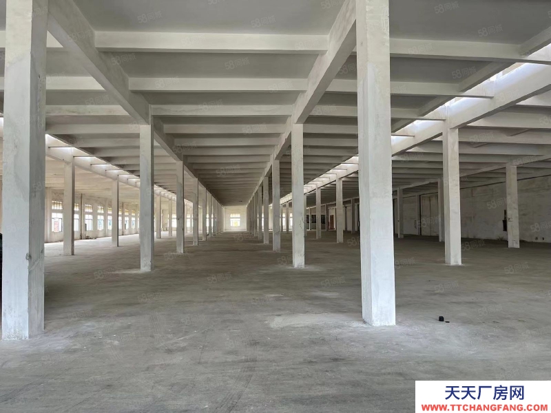 (出租) 江門開平三類工業用地10元廠房,條件寬松,年限長