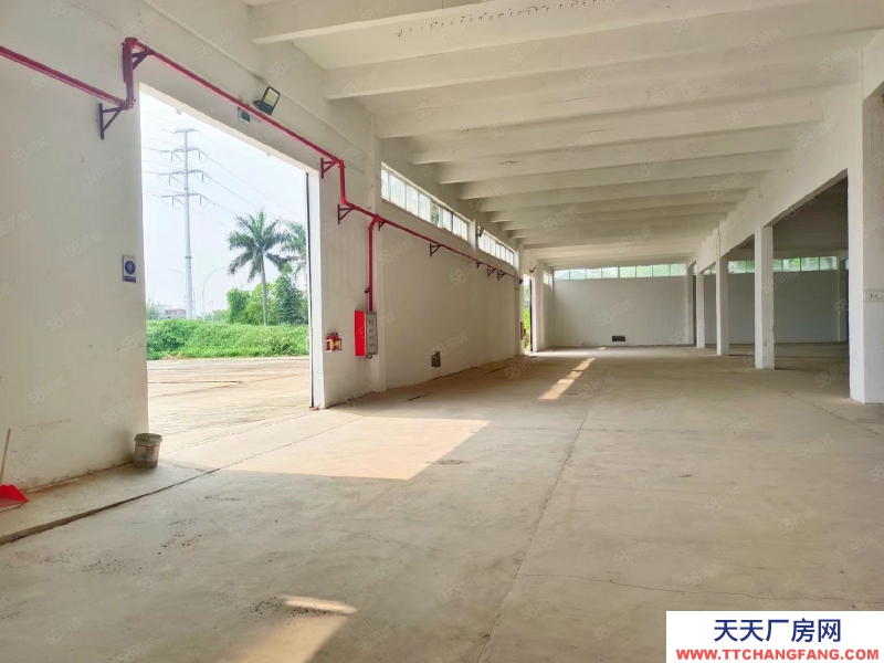 (出租) 江門開平水口紅本廠房倉庫出租500起租（水泥頂）