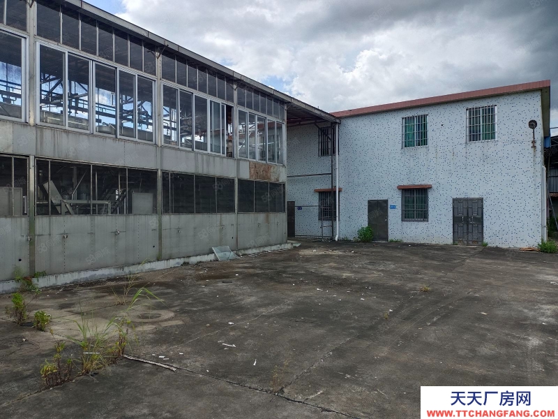 (出租) 江門低價5元方,獨門獨院,鶴城共和交界舊廠房連水泥地,按需求分租