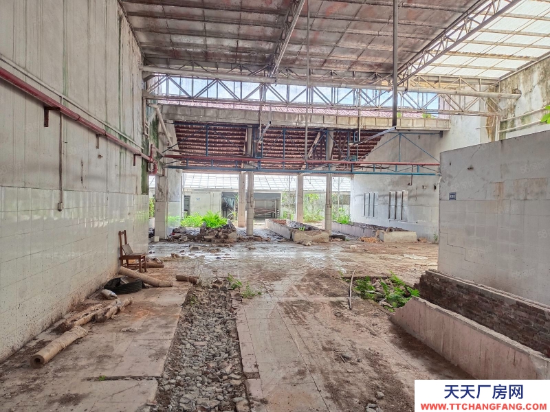 (出租) 江門低價5元方,獨門獨院,鶴城共和交界舊廠房連水泥地,按需求分租