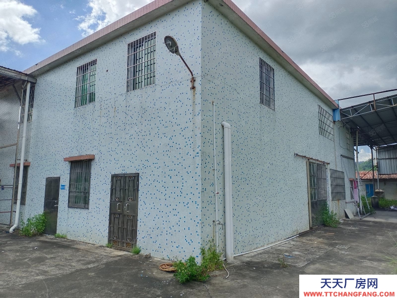 (出租) 江門低價5元方,獨門獨院,鶴城共和交界舊廠房連水泥地,按需求分租