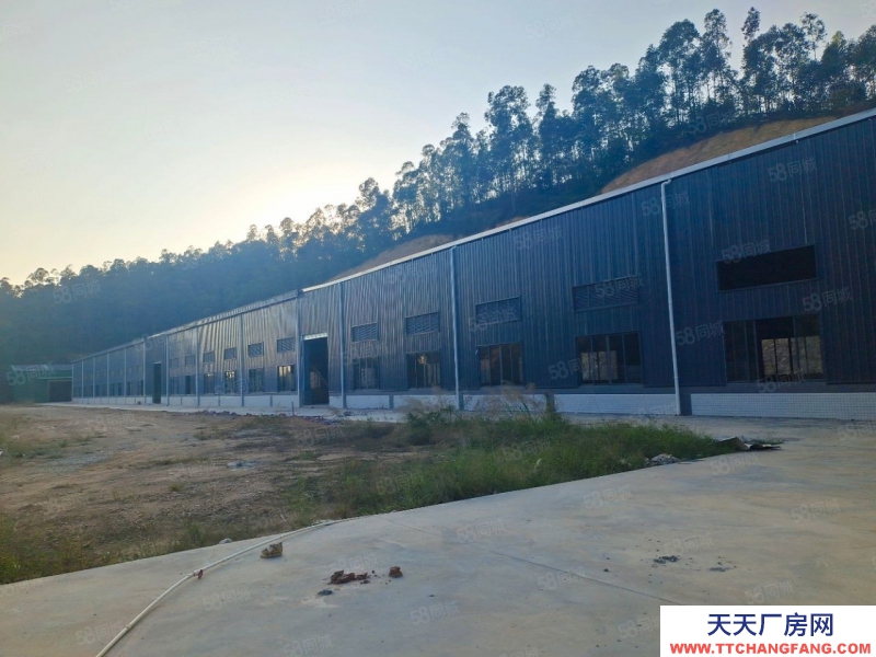 (出租) 江門鶴山獨院全新廠房出租!!