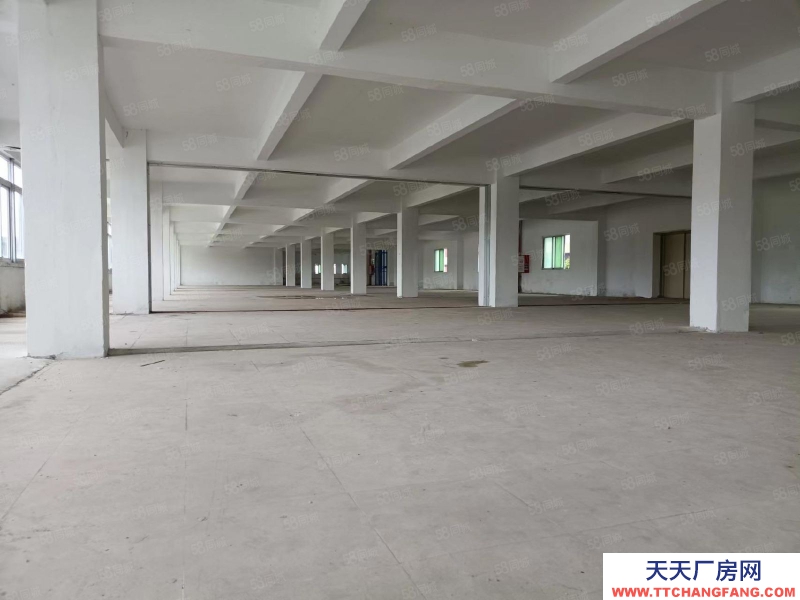 (出租) 江門鶴山雅瑤獨院廠房水泥結(jié)構(gòu)10元!