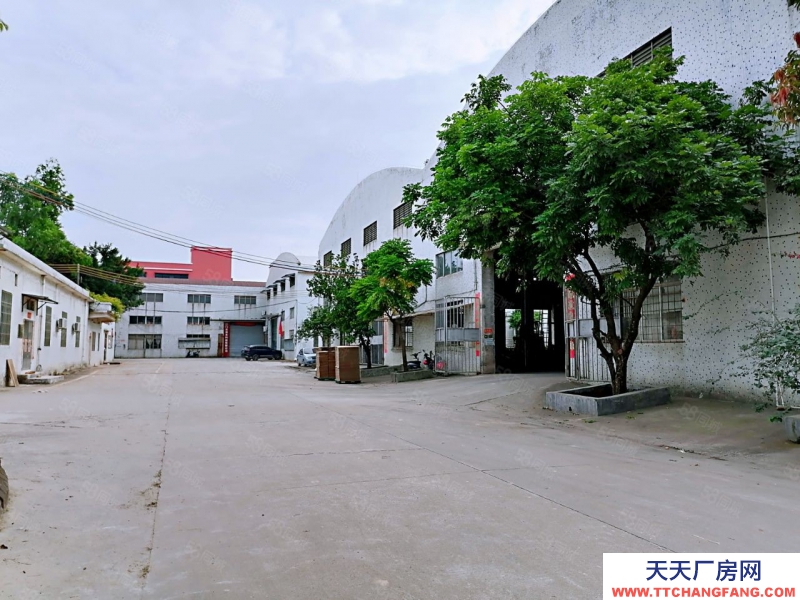 (出租) 江門園區占地約54畝園區總建筑面積約31,000方有行車牛角9米