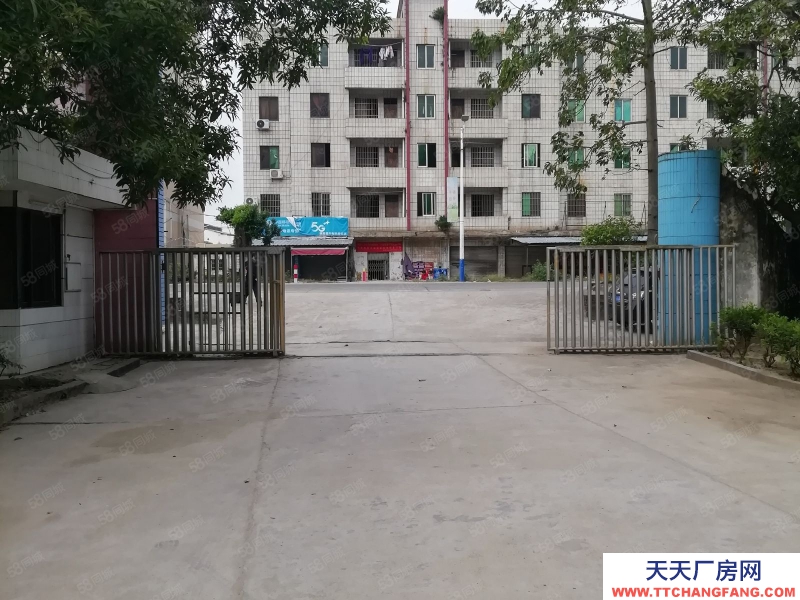 (出租) 江門恩平大量廠房倉庫工業用地商服用地招租