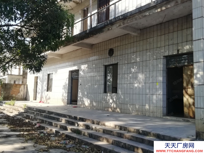 (出租) 江門恩平大量廠房倉庫工業用地商服用地招租