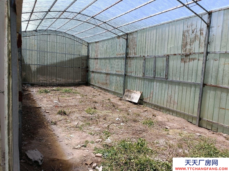 西寧個人溫室大棚，可當做庫房，小微型貨車暢通