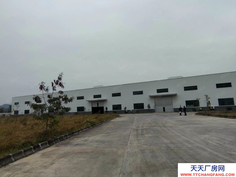 (出租) 江門恩平市大型鋼架結構廠房招租，適合機械五金物流倉儲等行業
