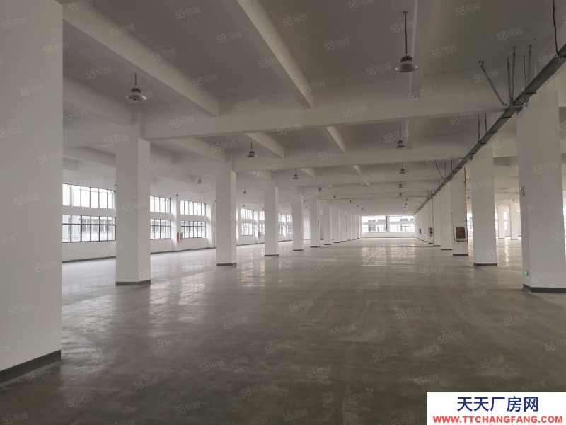 (出售) 出售吳興區屋美價廉，獨門獨院廠房，10畝地