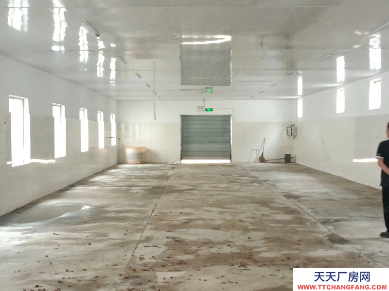 (出租) 超劃算，出租練市獨門獨院單層10000方，院內11畝可建硬化