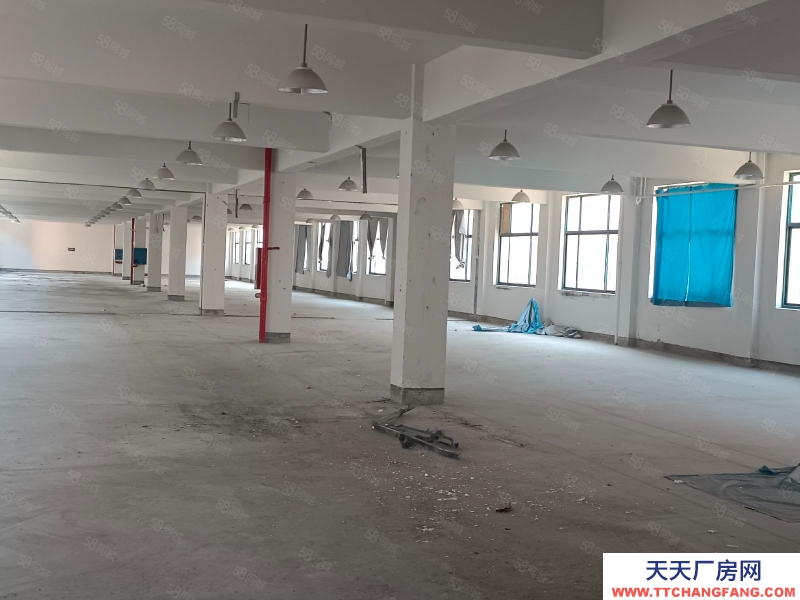 (出租) 超劃算，出租練市獨門獨院單層10000方，院內11畝可建硬化