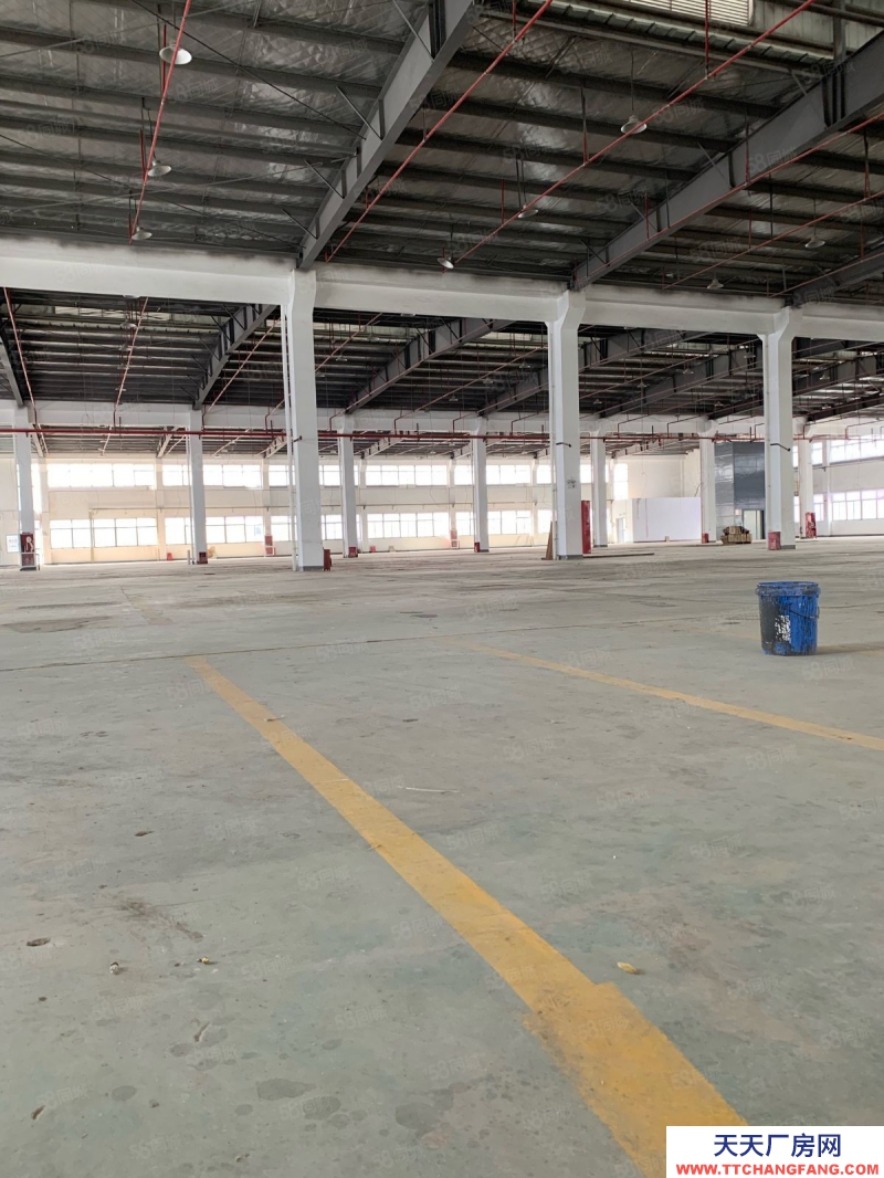(出租) 出租非中介潯織路188號標準廠房出租 場地大