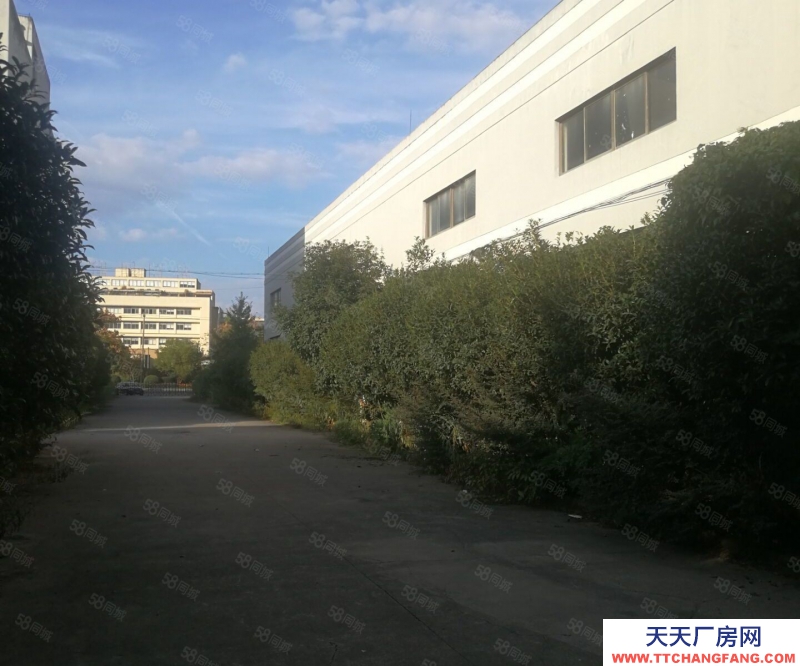 (出租) 出租菱湖3400方單層鋼結(jié)構(gòu)廠房層高8米，價格18