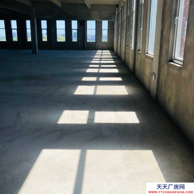 租售 高新西區500-7000平全新獨棟框架廠房，可按揭