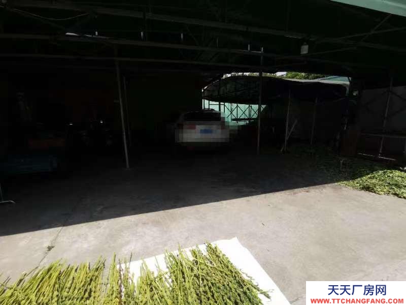 (出租) 空房出租(一間倉庫加四間一層樓房和周圍空地)