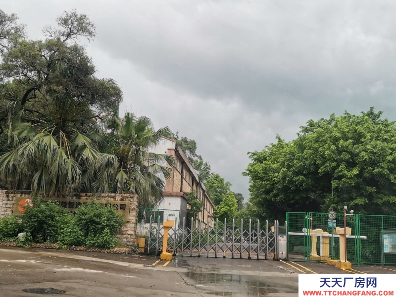 (出租) 江門白沙遠洋冷庫旁8000平米倉庫出租，可分租300起拖掛車可進