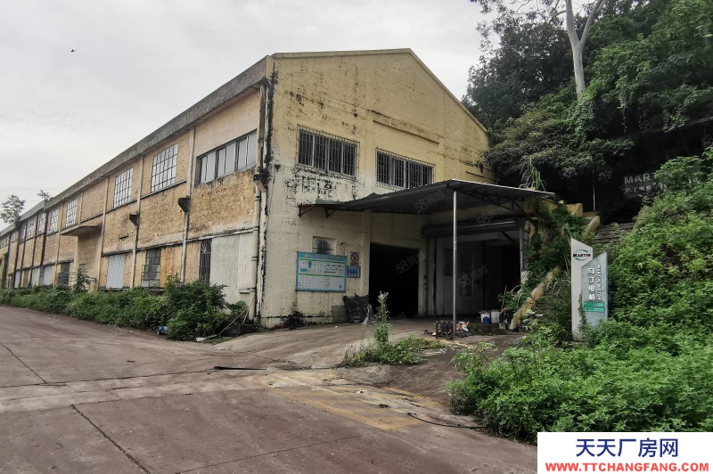 (出租) 江門白沙遠洋冷庫旁8000平米倉庫出租，可分租300起拖掛車可進