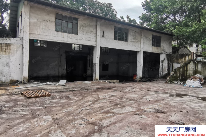 (出租) 江門白沙遠洋冷庫旁8000平米倉庫出租，可分租300起拖掛車可進