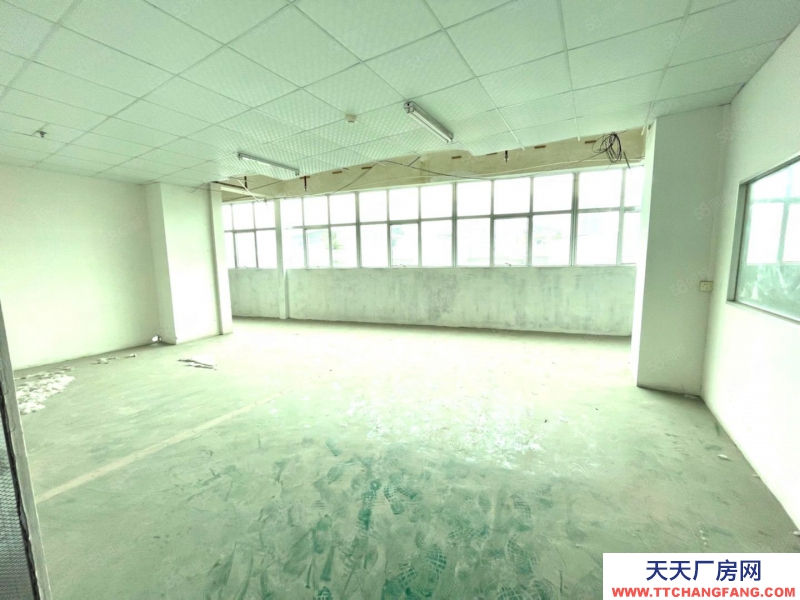 (出租) 江門蓬江農林E中心連鎖辦公品牌500平方起中小型面積倉儲出租免傭