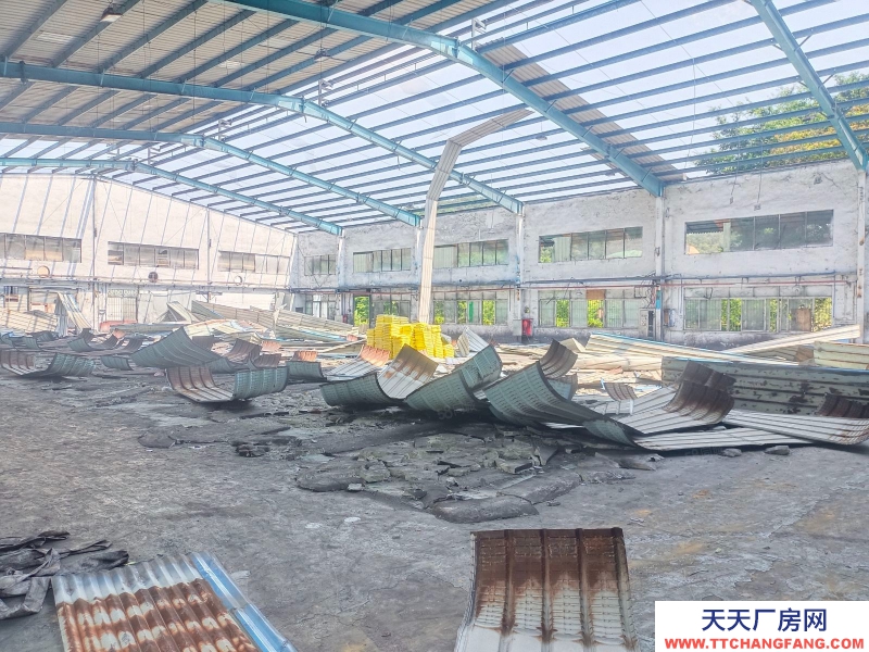 (出租) 江門蓬江龍灣路倉儲商業場地200至4000平，鄰近江門大道高速口