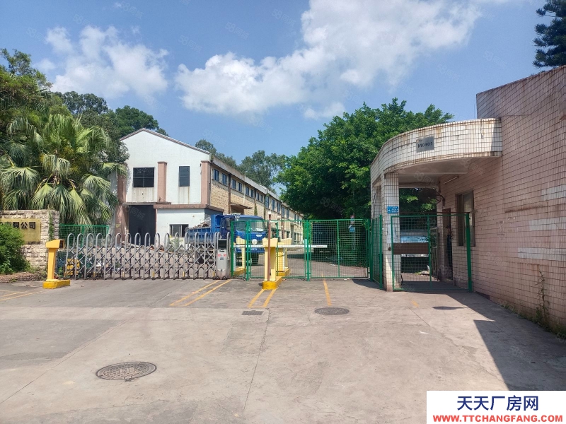 (出租) 江門蓬江龍灣路倉儲商業場地200至4000平，鄰近江門大道高速口