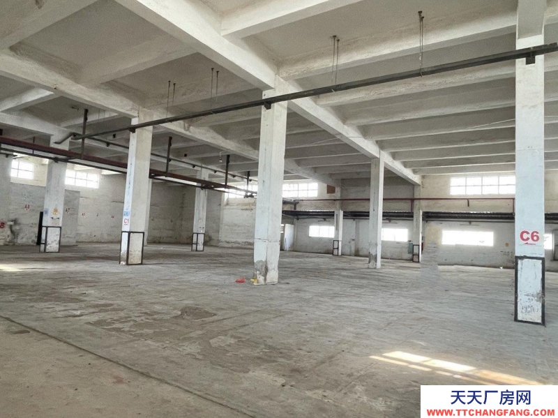 (出租) 江門新會三和大道1300平方倉庫廠房，可分租