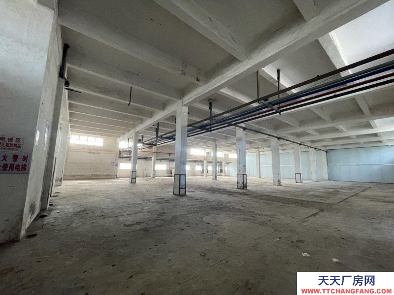 (出租) 江門新會今古洲混凝土結構廠房倉庫出租（非中介）